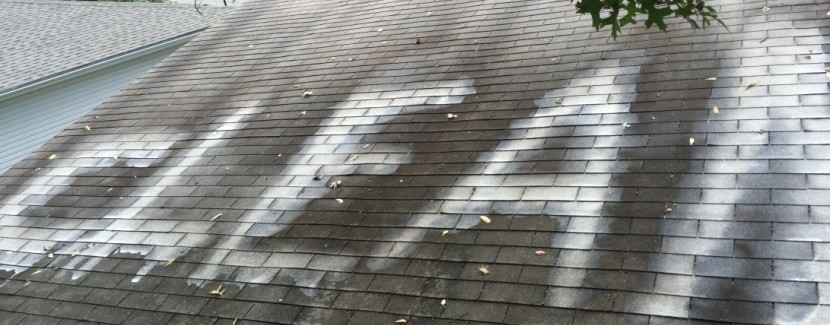 Roof Cleaning Powerwashing