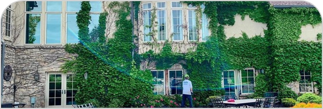 Exterior Windows